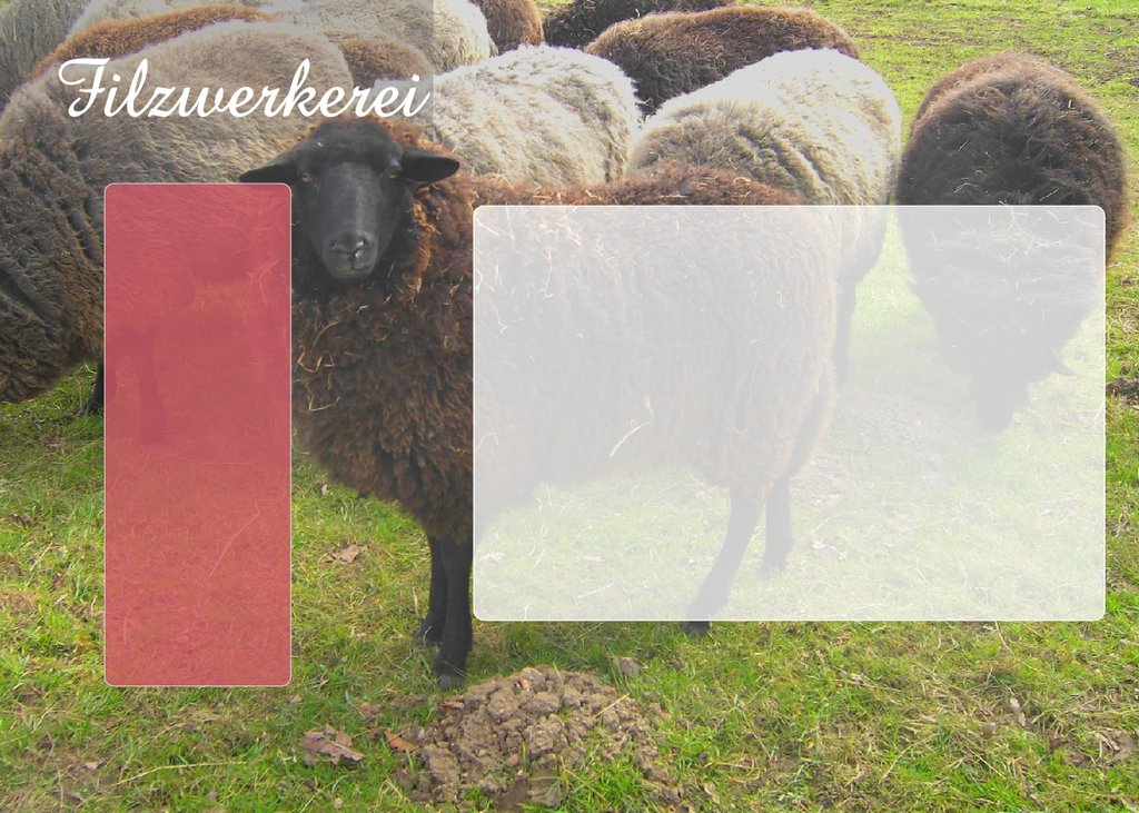 Schafe fr die Filzwolle